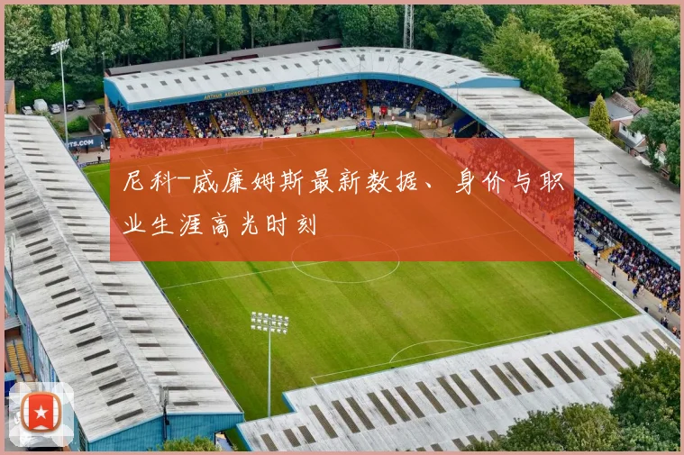 尼科-威廉姆斯最新数据、身价与职业生涯高光时刻