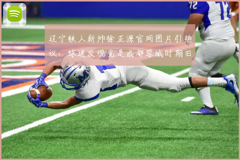 辽宁铁人新帅徐正源官网图片引热议,球迷发现竟是成都蓉城时期旧照